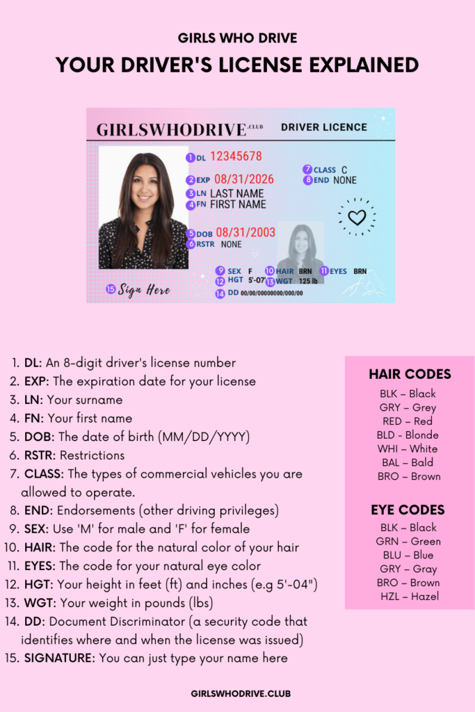 understanding your driver's license
