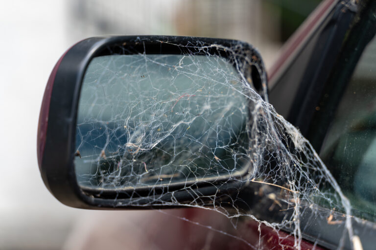 cobwebs on car window -the best homemade spider repellant to get rid of spiders in car and on car windows